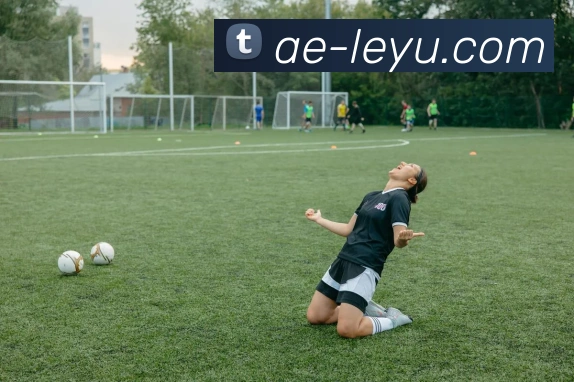 App Interface Preview